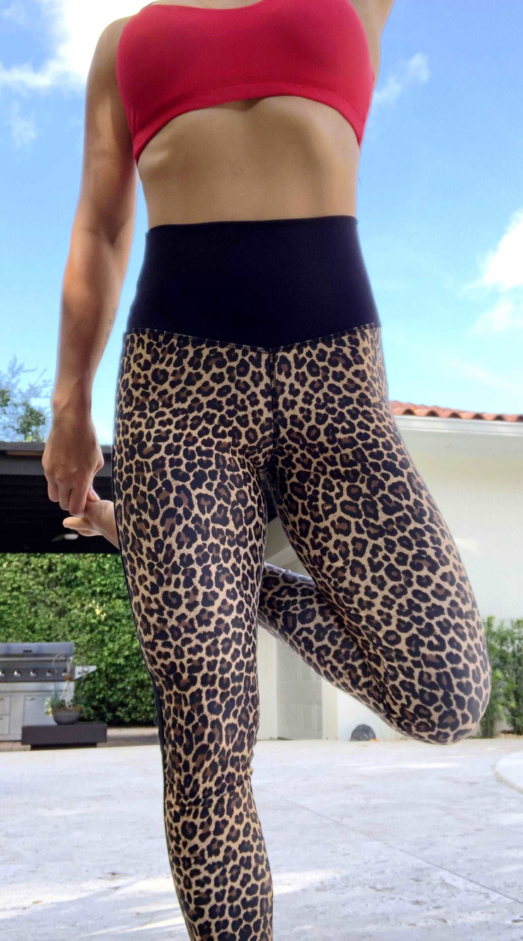 Cheetah Special Edition/Track Stripes - ABS2B FITNESS APPAREL
