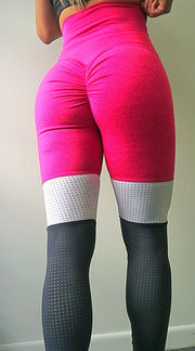 Candy Mesh (Neon Pink, Lilac, Mint,Gray) - ABS2B FITNESS APPAREL