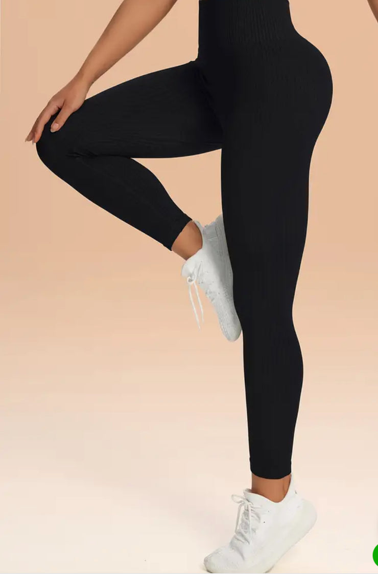 Ribbed Radiance Seamless Sculpting Leggings - ABS2B FITNESS APPAREL