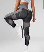 The Contour Mesh Sculpt - ABS2B FITNESS APPAREL