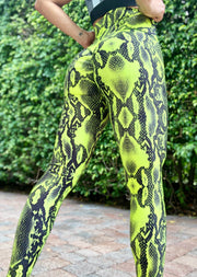 Neon Python - ABS2B FITNESS APPAREL