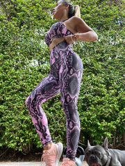 Rose Python - ABS2B FITNESS APPAREL